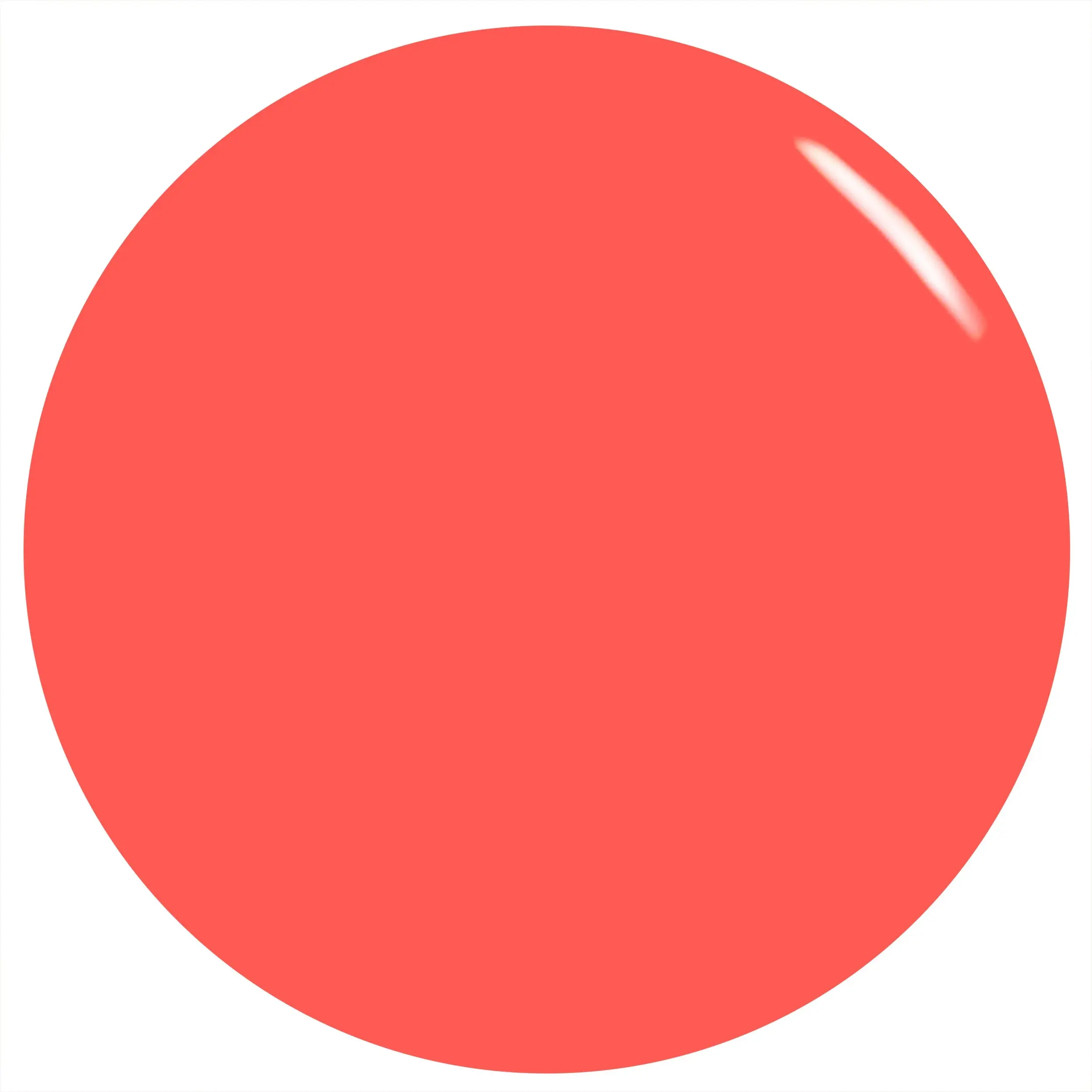 Productafbeelding 4